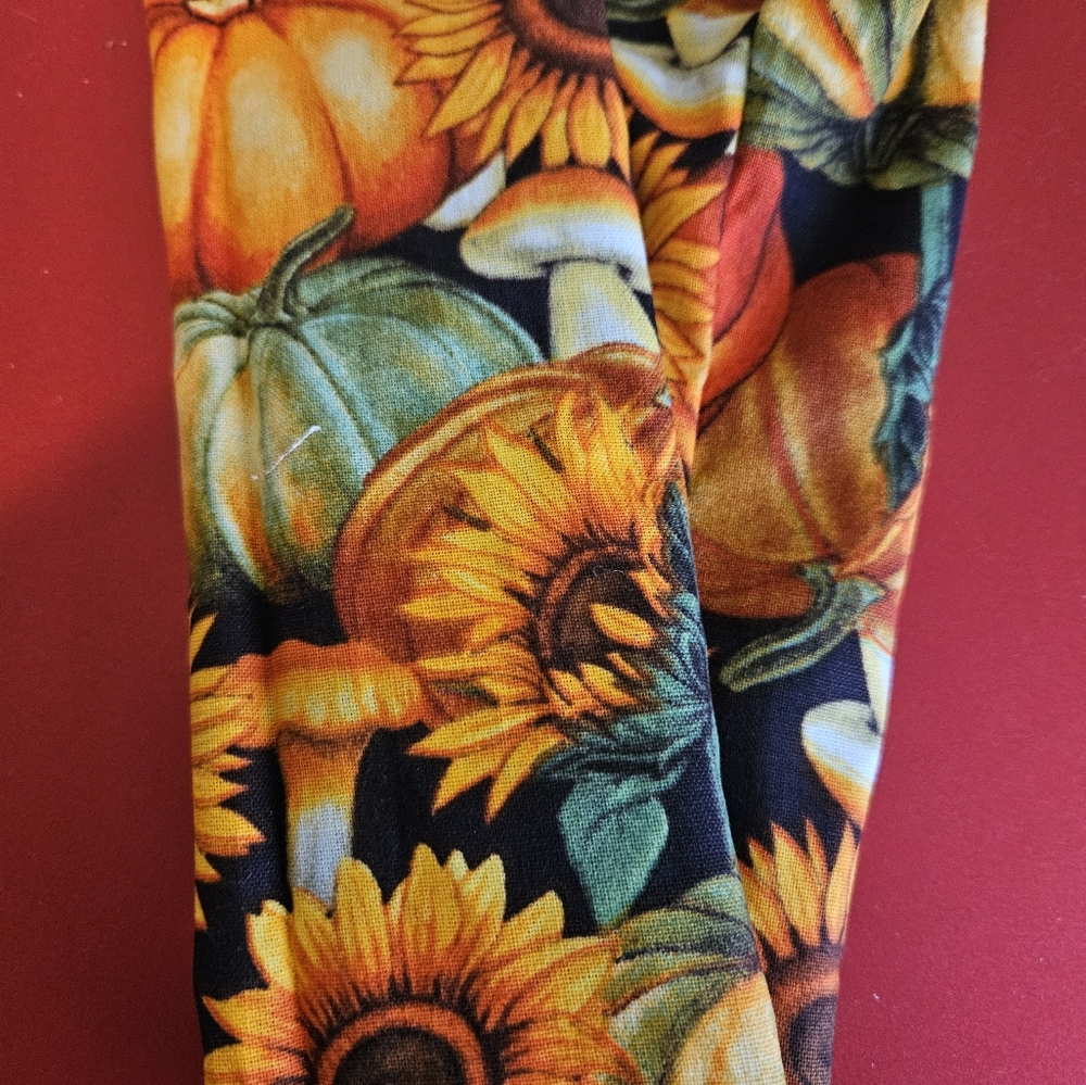 Fall With Pumpkins Stethoscope Cover
